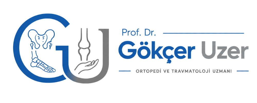Prof. Dr. Gokcer Uzer